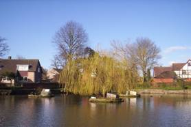 Winterbourne Duck Pond